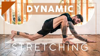 Activate Your Body With This Dynamic Routine [upl. by Rollins]