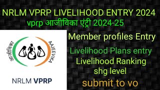 NRLM VPRP LIVELIHOOD ENTRY 2024shg level Livelihood plans entry profile entry Ranking कैसे करे।। [upl. by Nossaj11]