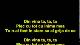 Alex VeleaDin vina ta versuri\lyrics [upl. by Quar]