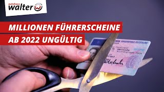 Millionen Führerscheine bald ungültig  was ist zu tun was steckt dahinter [upl. by Anilet]