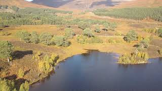 Glen Affric and the caledonian forest Part 1 [upl. by Stannwood]