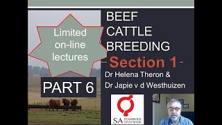 6 Online English Beef Cattle Breeding Course Section 1 PART 6 [upl. by Agathy429]