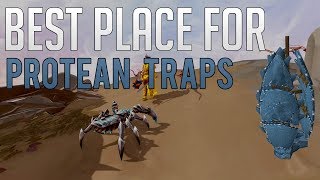 The best place to use Protean Traps in Runescape 3 [upl. by Ransome]