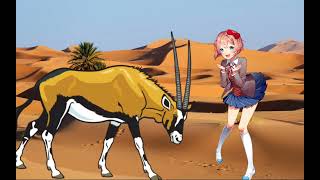 Hell Is Forever  Sayori  Gemsbok AI Cover [upl. by Garv]