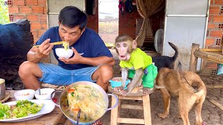 Peaceful farm life  Introductions to the country and people of Vietnam [upl. by Braynard]