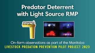 Manitoba Livestock Predation Prevention Pilot Project  Light Source [upl. by Igenia]