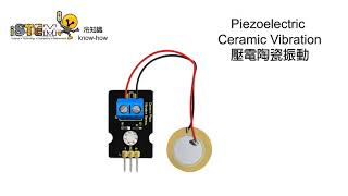 Piezoelectric Ceramic Vibration Sensor [upl. by Atinna]