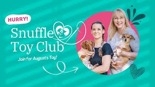 LAST DAY for August Snuffle Toy Club Sign Up [upl. by Brigit]