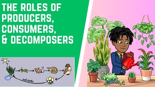 Roles of Producers Consumers amp Decomposers [upl. by Charry511]