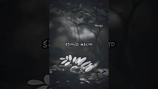 Kinnerasani nadaka 😔🎼🥰whatsappstatus love video song lyrics [upl. by Vine826]