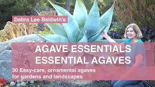 Agave Essentials 30 easycare ornamental agaves for gardens and landscapes [upl. by Sirrad103]