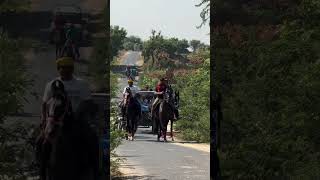 horse 😱😰ghoda shorts short viral shortvideo viralvideo piyushChaudhary [upl. by Neelrahs689]