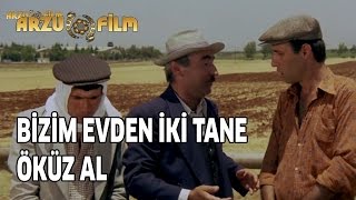 Git Bizim Evden 2 Tane Öküz Al  Kibar Feyzo [upl. by Rennold]