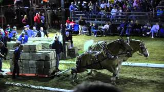 Draft Horse Pull 2013 Deerfield Fair NH Pulling Video 48 [upl. by Schriever]