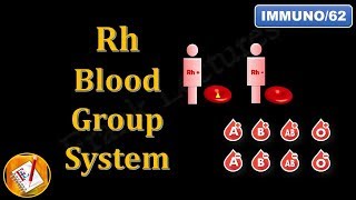 Rh Blood Group System FLImmuno62 [upl. by Timms]