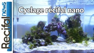 Vlog3 Axel  cyclage aquarium nano récifal [upl. by Eelnyl]