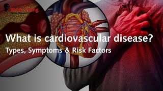 What is cardiovascular disease  Victor Chang Cardiac Research Institute [upl. by Leynwad]