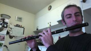 The Man of the House  Irish Flute  slowfast [upl. by Dnomra]