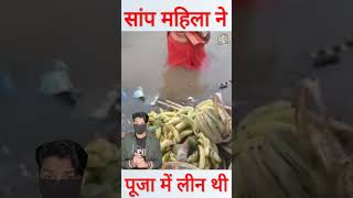 छठ पूजा के दौरान पानी में तैरते हुए आया सांप shorts chhathpuja [upl. by Emil]