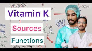 Vitamin K  Sources  Functions [upl. by Drannel]