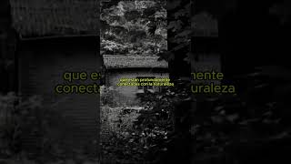 7 Rasgos de BRUJA 👁️paranormal brujas historiasdeterror leyendas [upl. by Nwahsiek212]