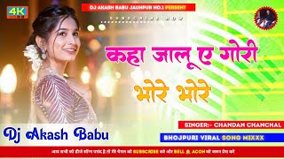 Kaha jalu a gori bhore bhore  Hard Bass Vibration Mix  Dj Akash Babu Jaunpur no1 2024 [upl. by Ataynek]