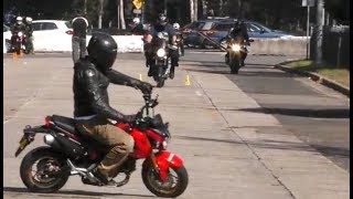 Stock Honda Grom Acceleration and Burnouts  msx125 [upl. by Acinahs]