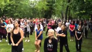 Tai Chi Cannon Fist in Porto [upl. by Anawat714]