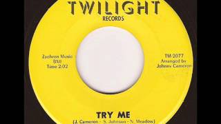 SYL JOHNSON  TRY ME TWILIGHT [upl. by Accber]