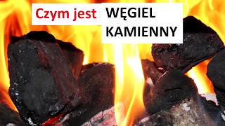 Czym jest WĘGIEL KAMIENNY [upl. by Rehotsirhc]