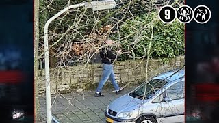 Verdachte gezocht van schietincident in flatwoning  Den Haag [upl. by Zetrok]