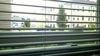 Adjust Venetian Window Blinds 🕵️ Privacy Light [upl. by Mclaurin]