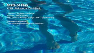 State of Play  Aleksandar Dimitrijevic Lynne Publishing [upl. by Inaoj]