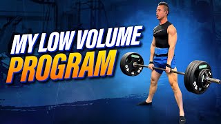 My NEW Low Volume Hypertrophy Program Full Body [upl. by Tolmach819]