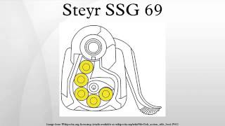 Steyr SSG 69 [upl. by Trainer]