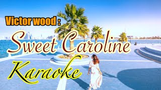 Sweet Carolinebest ofVictor Woodkaraoke channel [upl. by Willner]