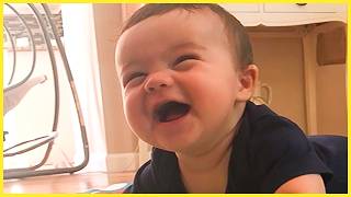 Cute And Funny Baby Laughing Hysterically Compilation  5Minute Fails [upl. by Eigna]