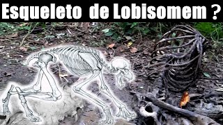 É de Lobisomem a Ossada Encontrada no Parana [upl. by Iinden]