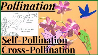 Pollination in Flowering Plants Agents of Pollination Self Pollination and Cross Pollination NEET [upl. by Pip303]