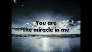 Miracle  Shinedown Lyrics [upl. by Moshell]