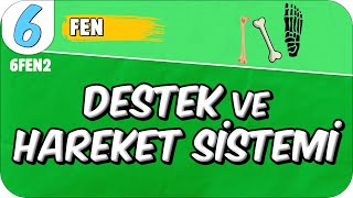 Destek ve Hareket Sistemi 📗 6FEN2 2025 [upl. by Rosenwald]