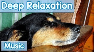 15 Hours of Deep Relaxation Music for Dogs Music to Relax Your Dog Completely and Help with Sleep [upl. by Hickie]