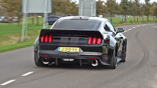 BEST OF FORD MUSTANG SOUNDS Shelby GT500 Alphamale Widebody GT350 RTR Widebody Royal Crimson GT [upl. by Ekud]