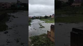 Korattur lake update fengalcycloneupdate lake rain cyclone [upl. by Ameluz]