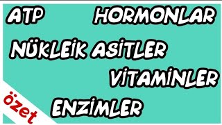 Enzimler  Nükleik Asitler  Vitaminler  Hormonlar  ATP Özet  TYT Biyoloji [upl. by Harden]