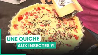 150€ le kilo  les insectes deviennent indispensables pour se nourrir  750GTV [upl. by Rivkah150]