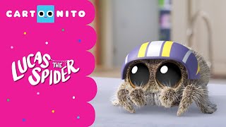 Lets Slide  Lucas the Spider  Cartoonito [upl. by Burg]