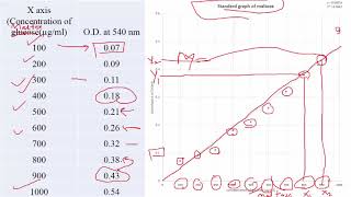 Enzyme activity calculation using standard graph [upl. by Sarazen796]