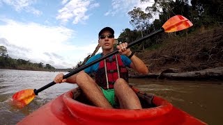 Tambopata Amazon Adventure Peru Part 2 [upl. by Ahsille]