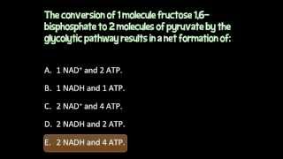 Glycolysis MCQ worksheet [upl. by Gelman]